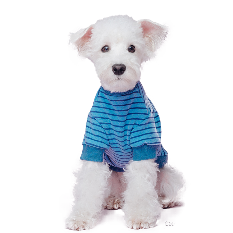 Striped Hoodie For Dog & Cat