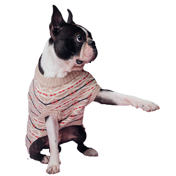 Multi-Colored Fair Isle Dog Sweater