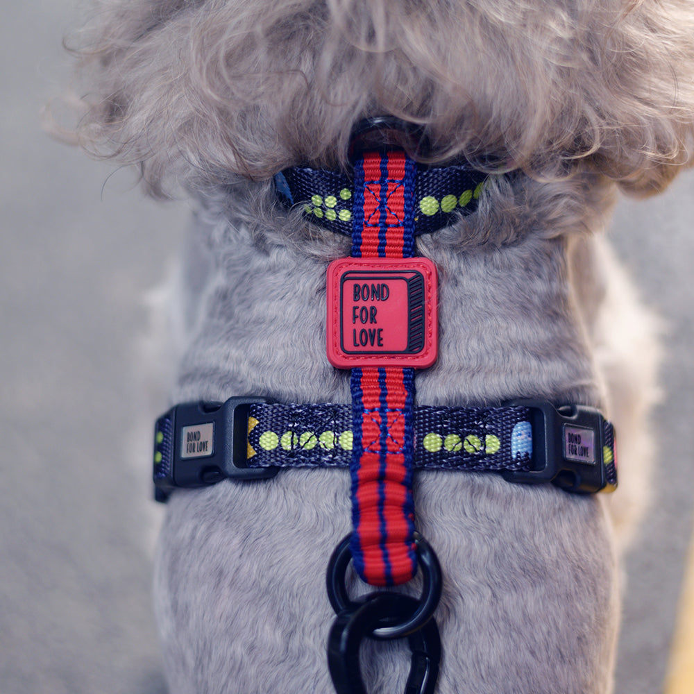 Polyester Back Clip Dog Harness