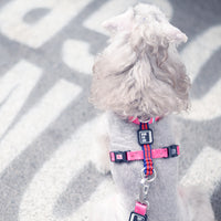 Polyester Back Clip Dog Harness