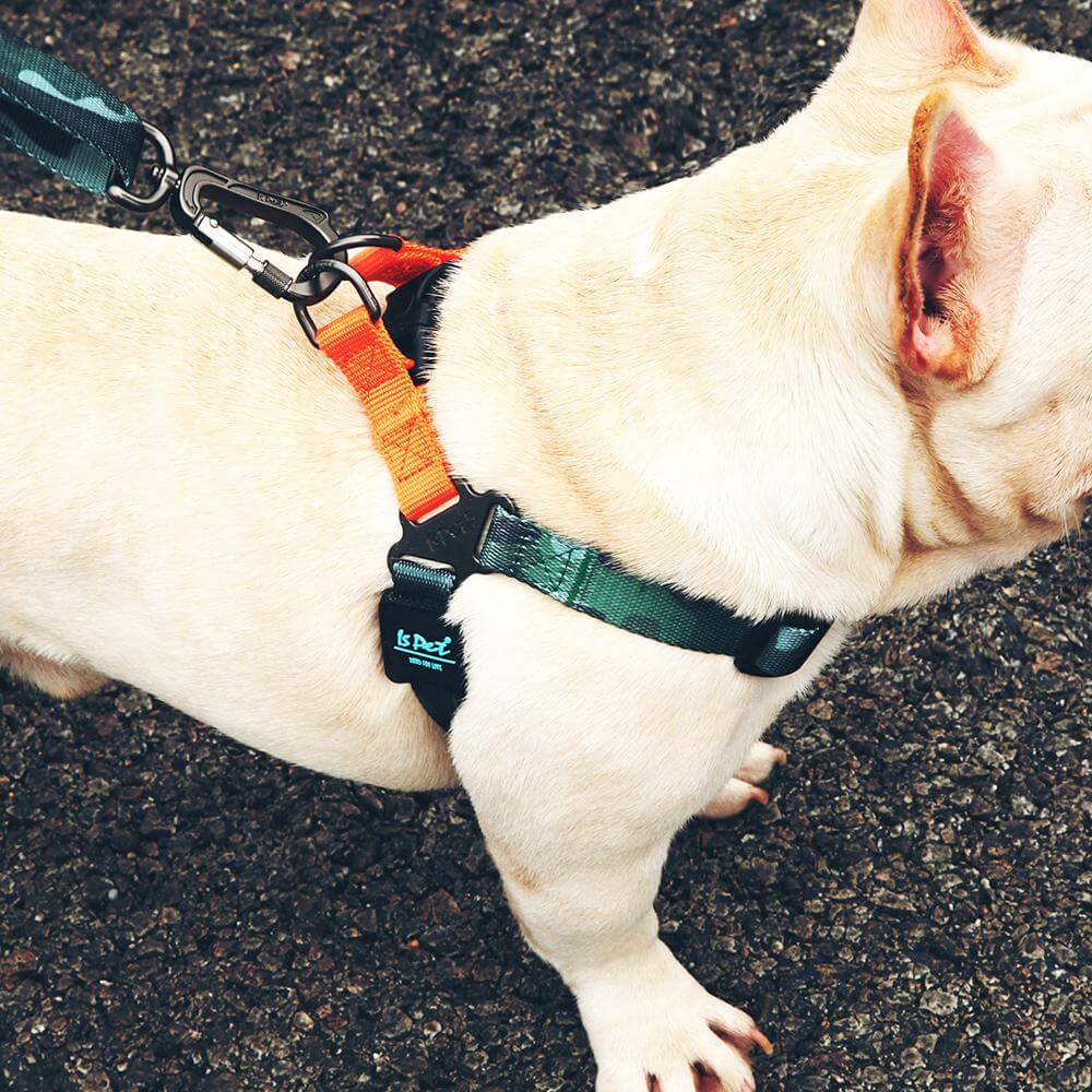 Comfort Wrap Step In Back Clip Dog Harness