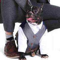Formal Dog & Cat Tuxedo