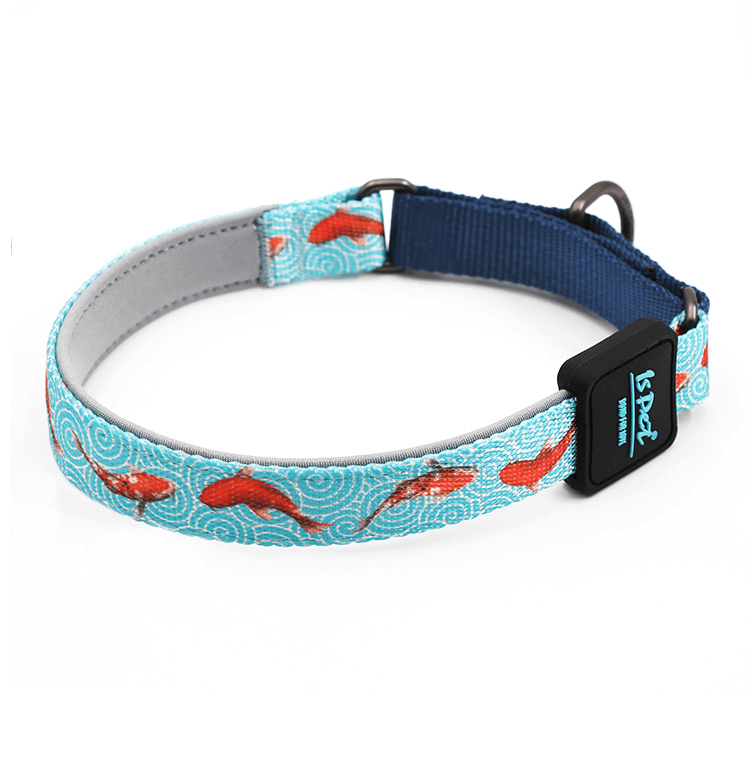 Polyester Martingale Dog Collar