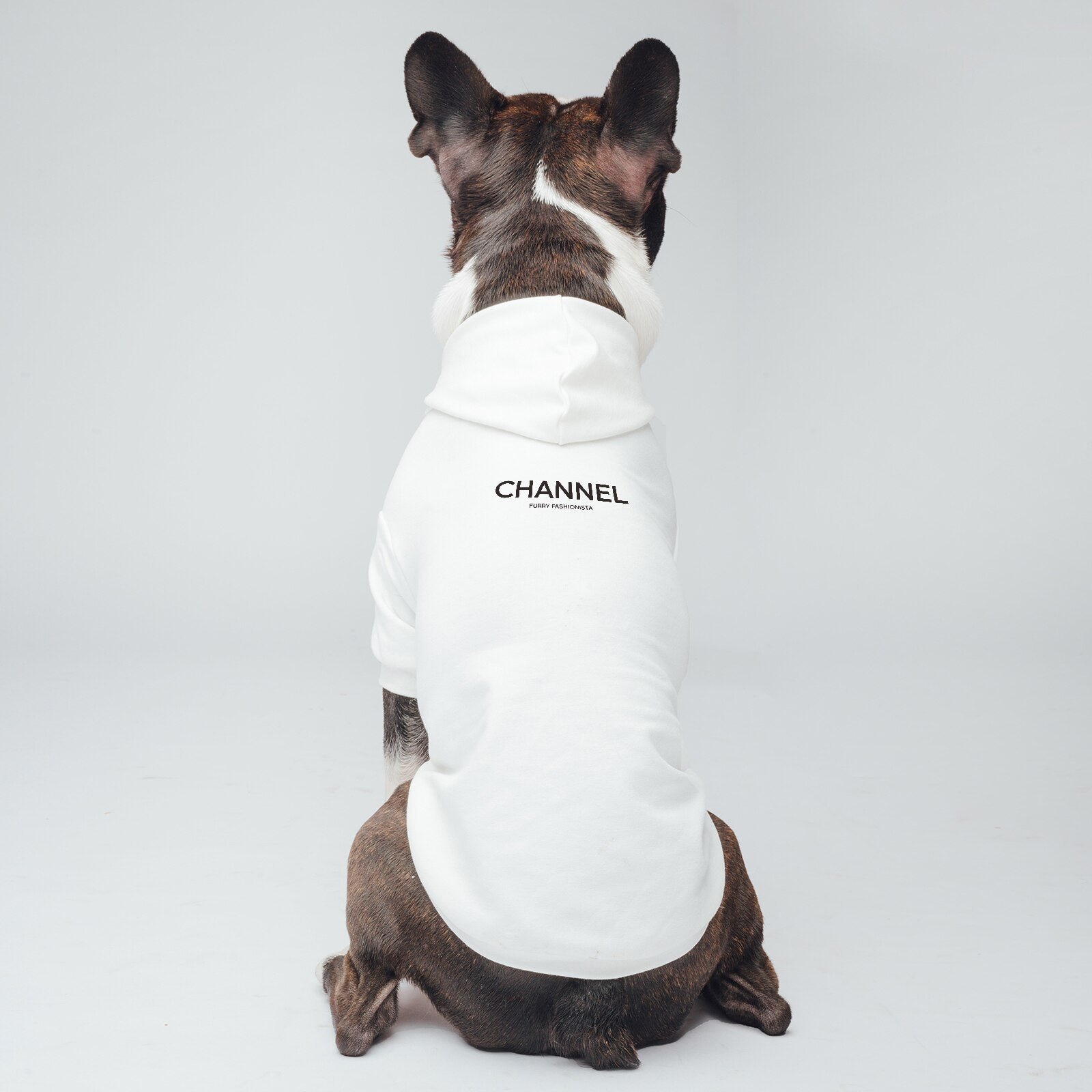 Chanel Dog Coat 