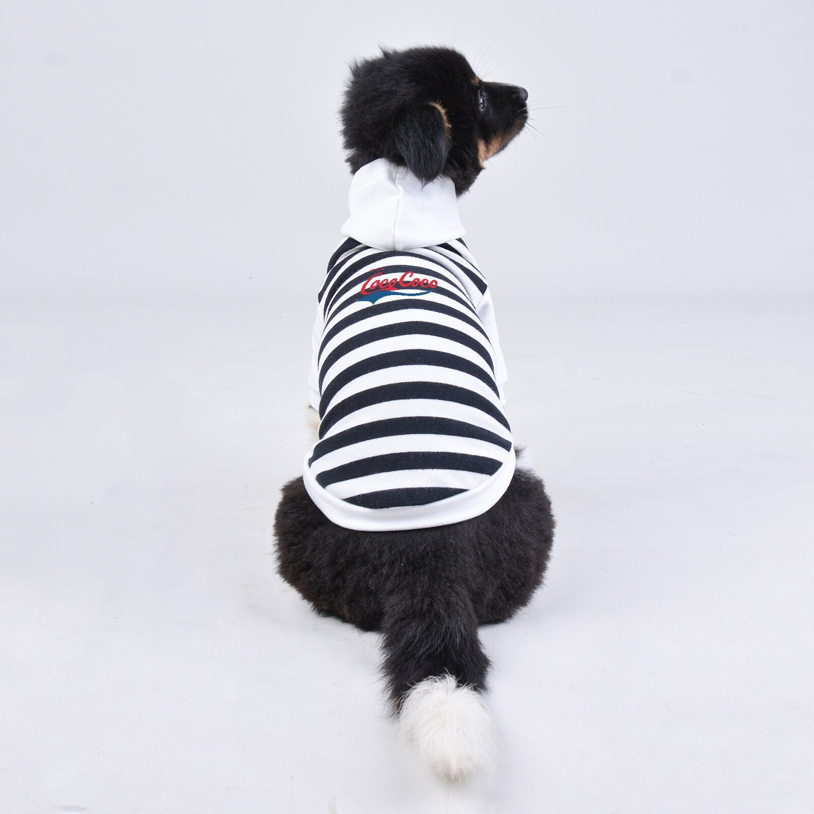 Pet Hoodie Letter 'Coco' Print Clothes for Small Medium Big Dogs Zebra Stripe White Leash Hole Design Soft Cotton Fabric