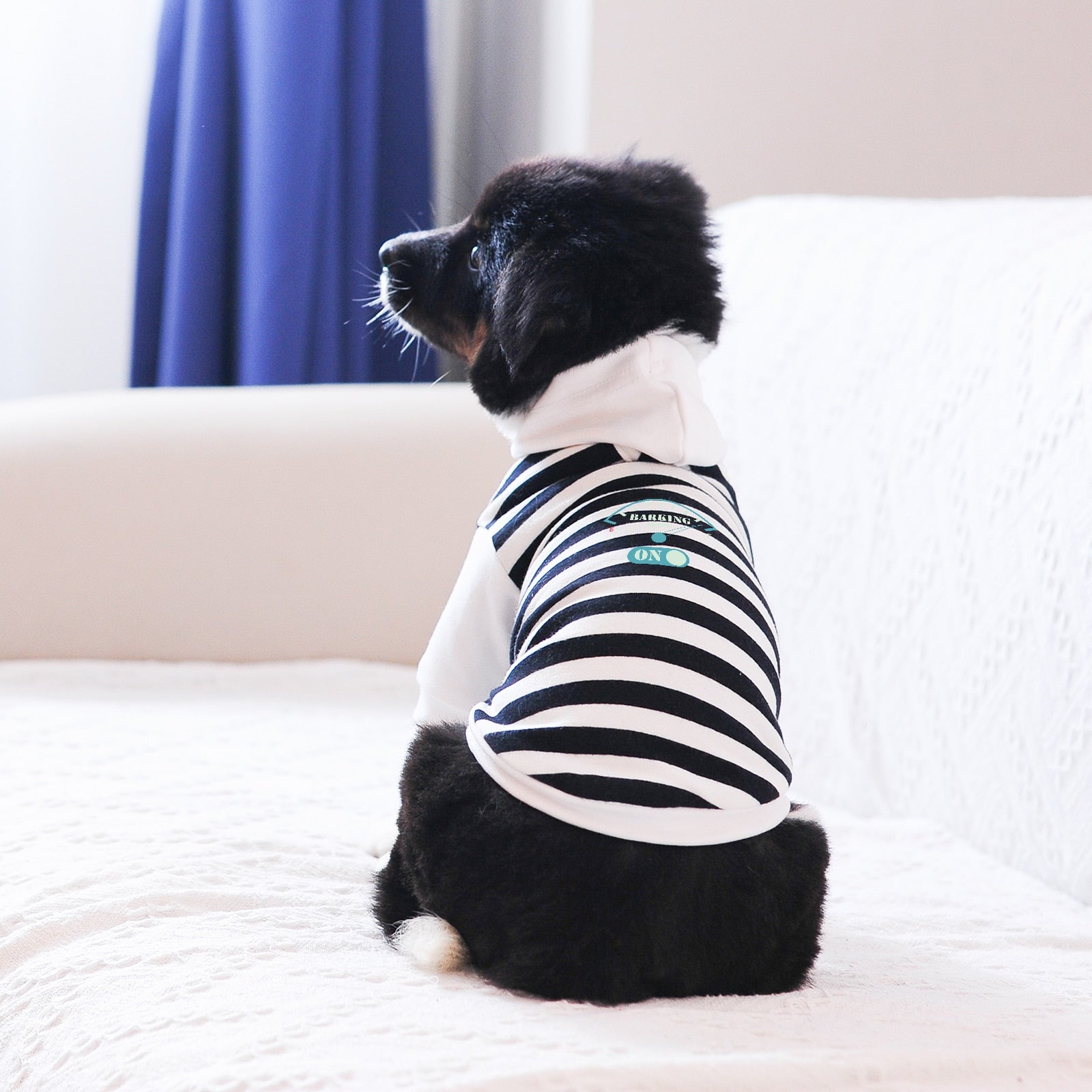 Dog Clothes Winter Hoodie Letter Pattern Printed Cotton Stripe and Red White Clothing Leash Hole