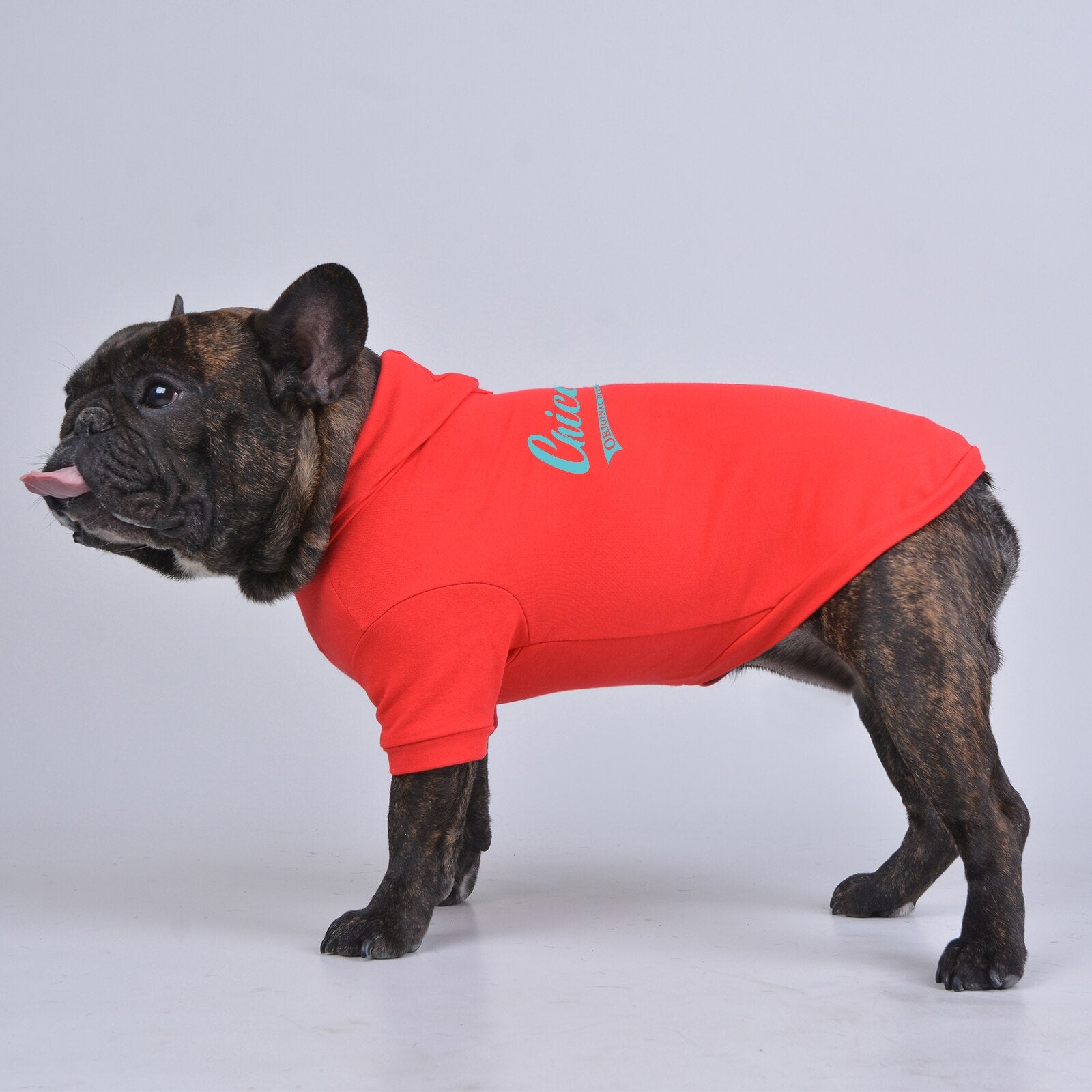 Hoodies for Dogs Small Medium Big Cat Pet， Leash Hole and Soft Warm Cotton Fabric, Suitable for Boys and Girls Puppies