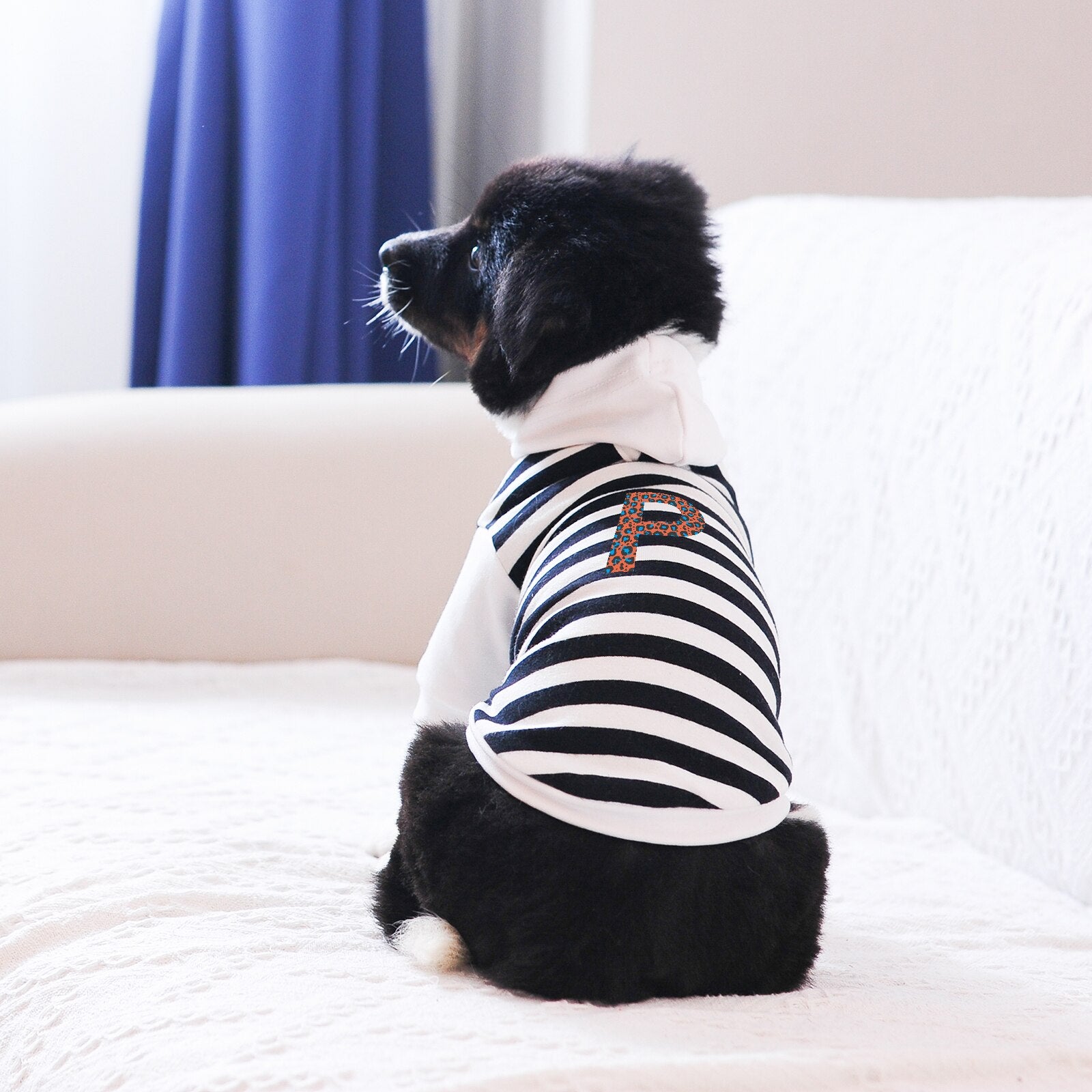 Puppy Clothes Hoodie Leash Hole Letter Printed Stripe Boys and Girls to Keep Warm 2022 New Arrival Classic and Cute