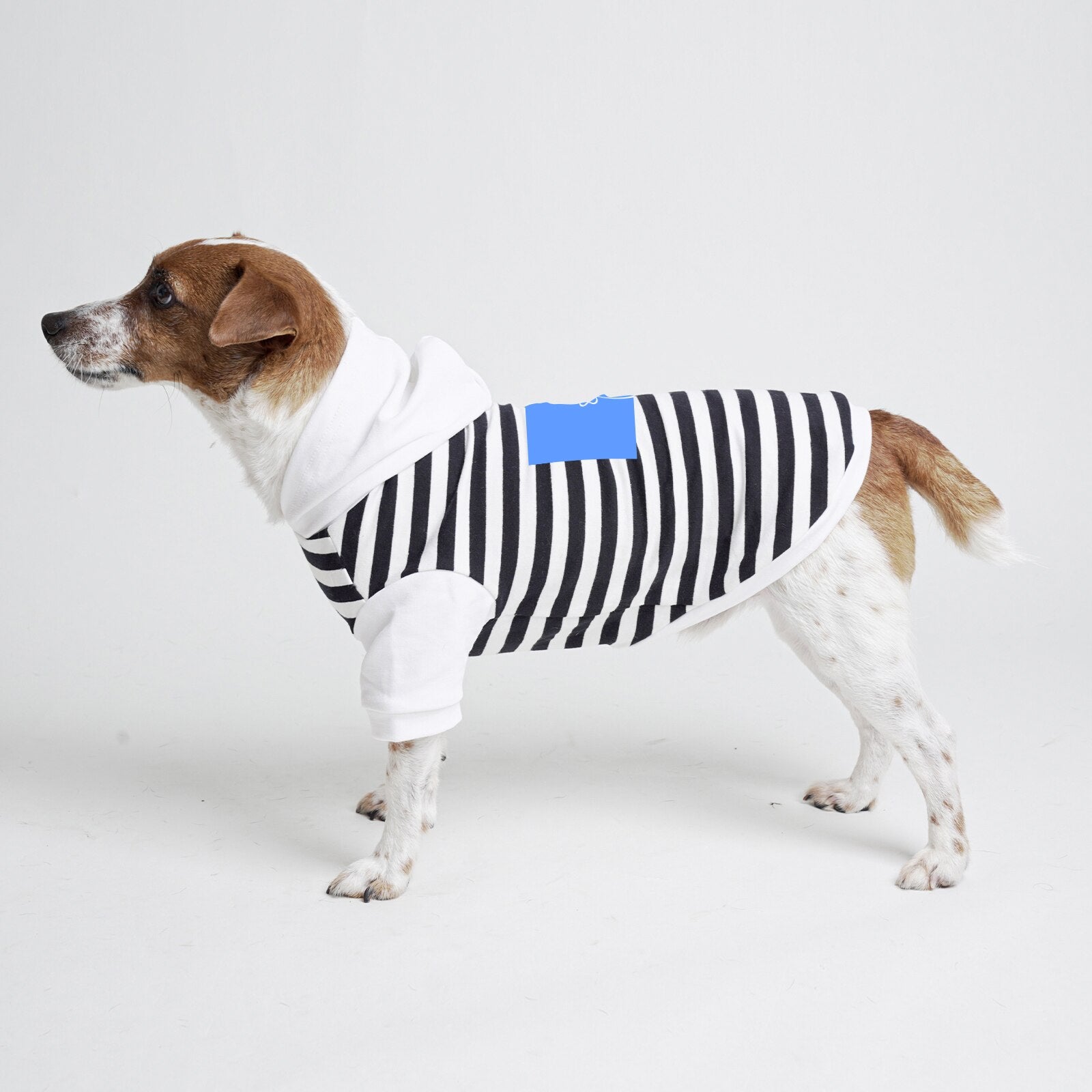 Printed Dog Clothes Hoodie Tshirt Winter Autumn Spring Stripe White Red Cotton Leash Hole Design