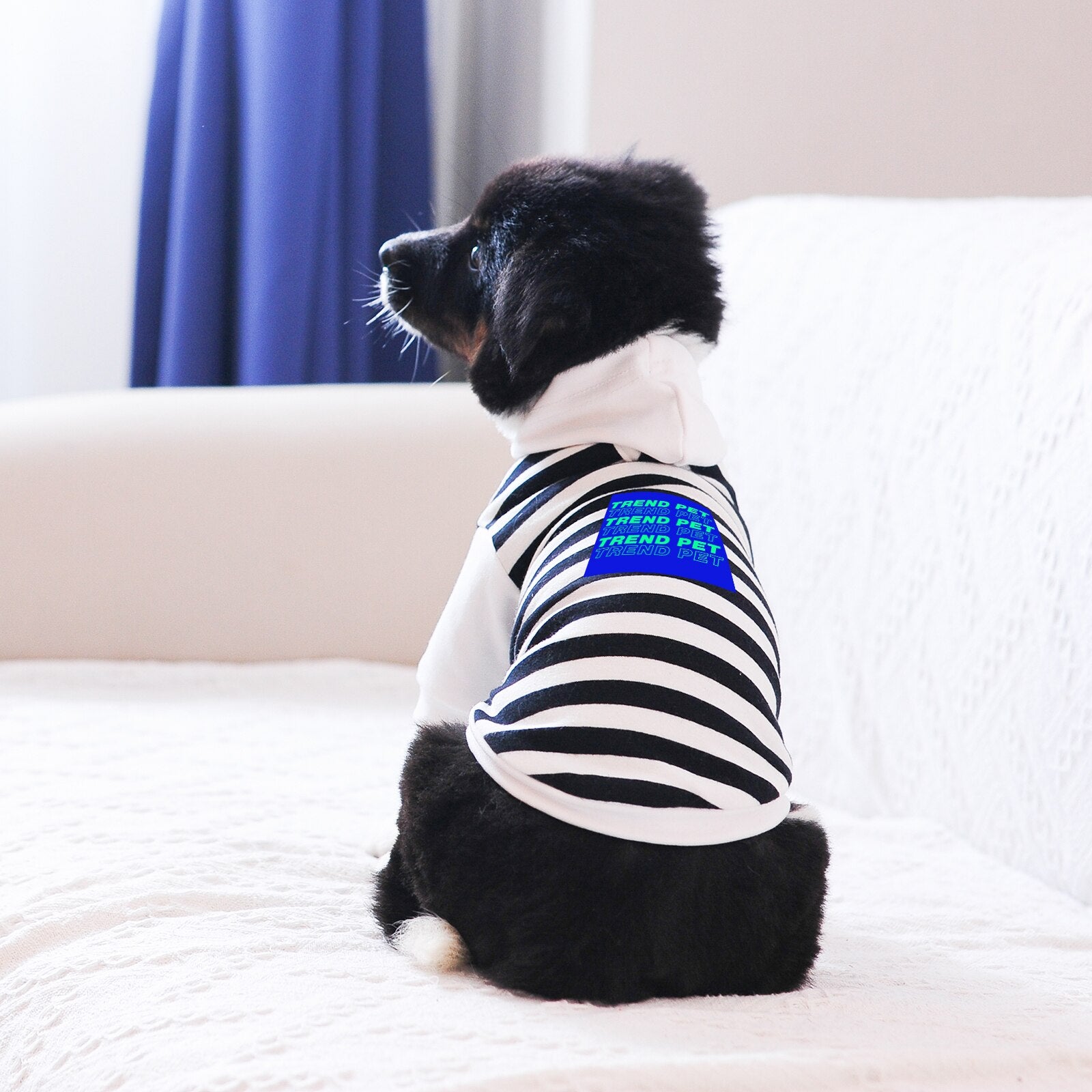 Stylish Pet Clothes Hoodie in Red White Zebra Stripe, Soft Cotton Fabric and Good Quality, Classic and Cool, Leash Hole Design