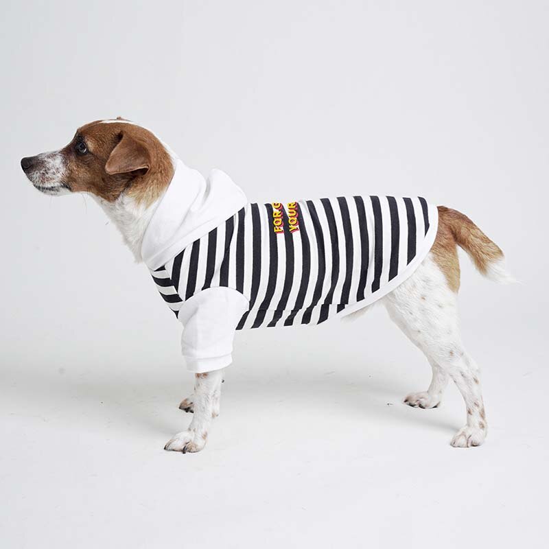 Dog Letter Hoodie Leash Hole Design Red White Stripe Printed for Autumn and Winter 2022 New Arrival