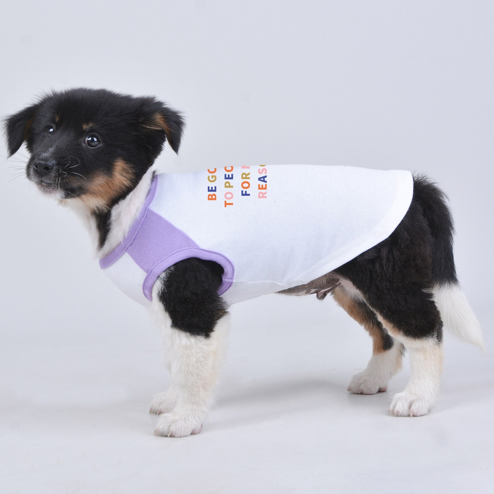 Printed Dog Clothes Sleveless Tshirt Vest Summer for Pets in All Sizes and Ages, Fine Breathable Fabric and High Quality