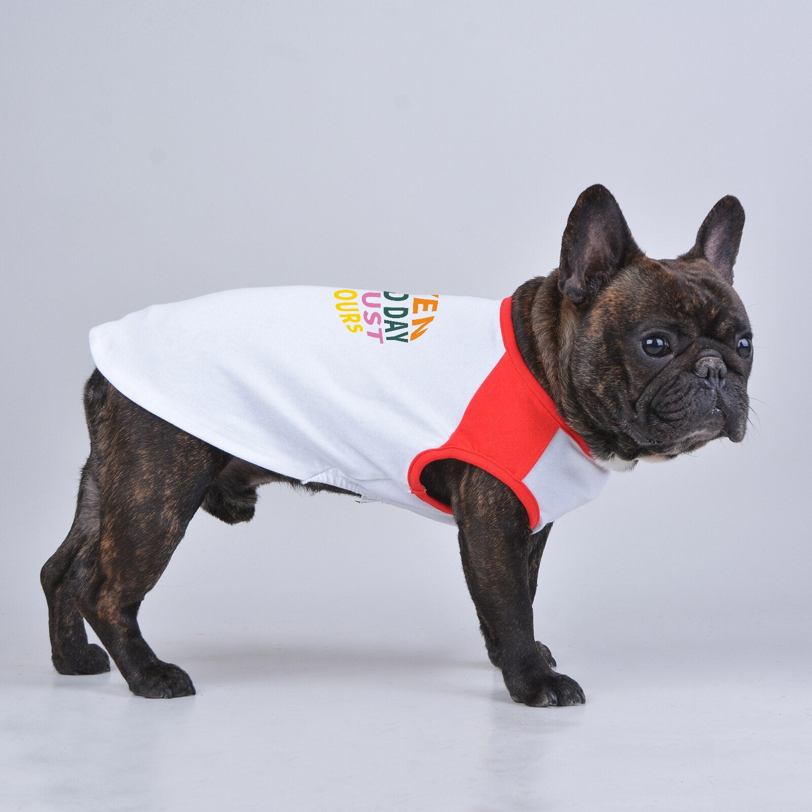 Printed Pet Clothes Vest Sleveless Tee Tshirt, Cute Classic Apparel for Dogs and Cats in All Sizes and Ages, Soft and Durable