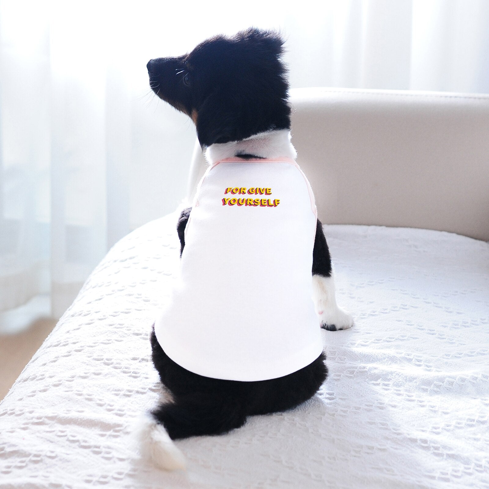 Cute Printed Pet Vest Sleveless Tshirt Tee, Clothes for Small Medium Large Dogs Cats, Chihuahua French Bulldogs Yorkshire Etc.