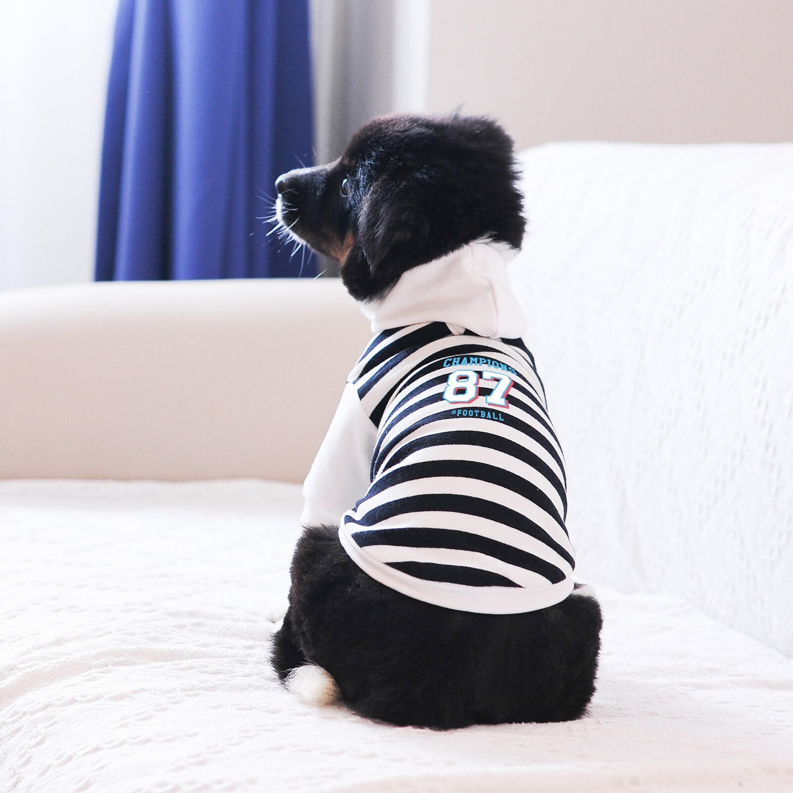 Letter Printed Dog Hoodie Clothes for Small Medium Big Large Pet Leash Hole Design with Top Quality Fabric
