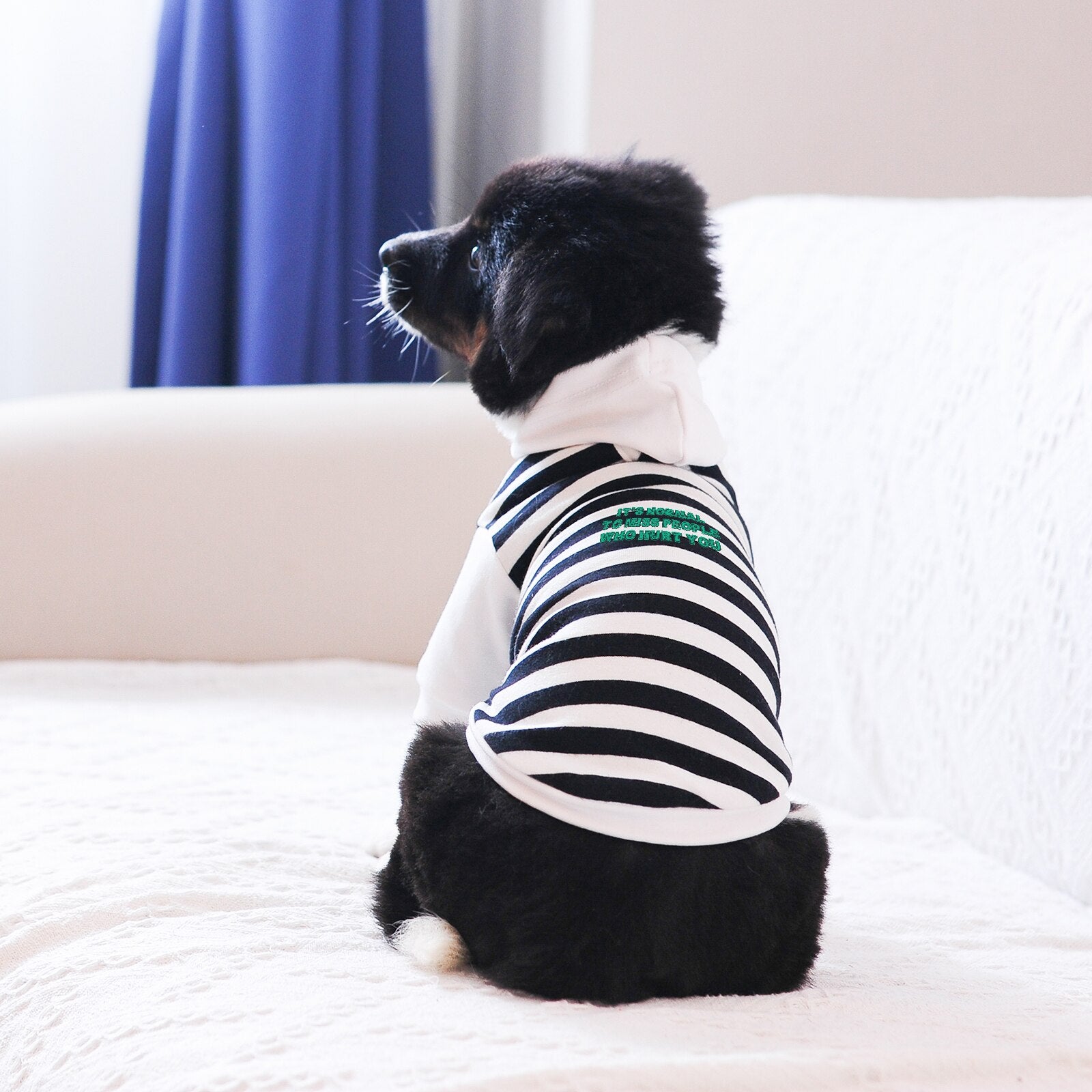 Pet Hoodie for Small Dogs Medium Large Stripe Red White Girl and Boy Chihuahua Yorkshir French Bulldogs 2022 New Autumn Winter