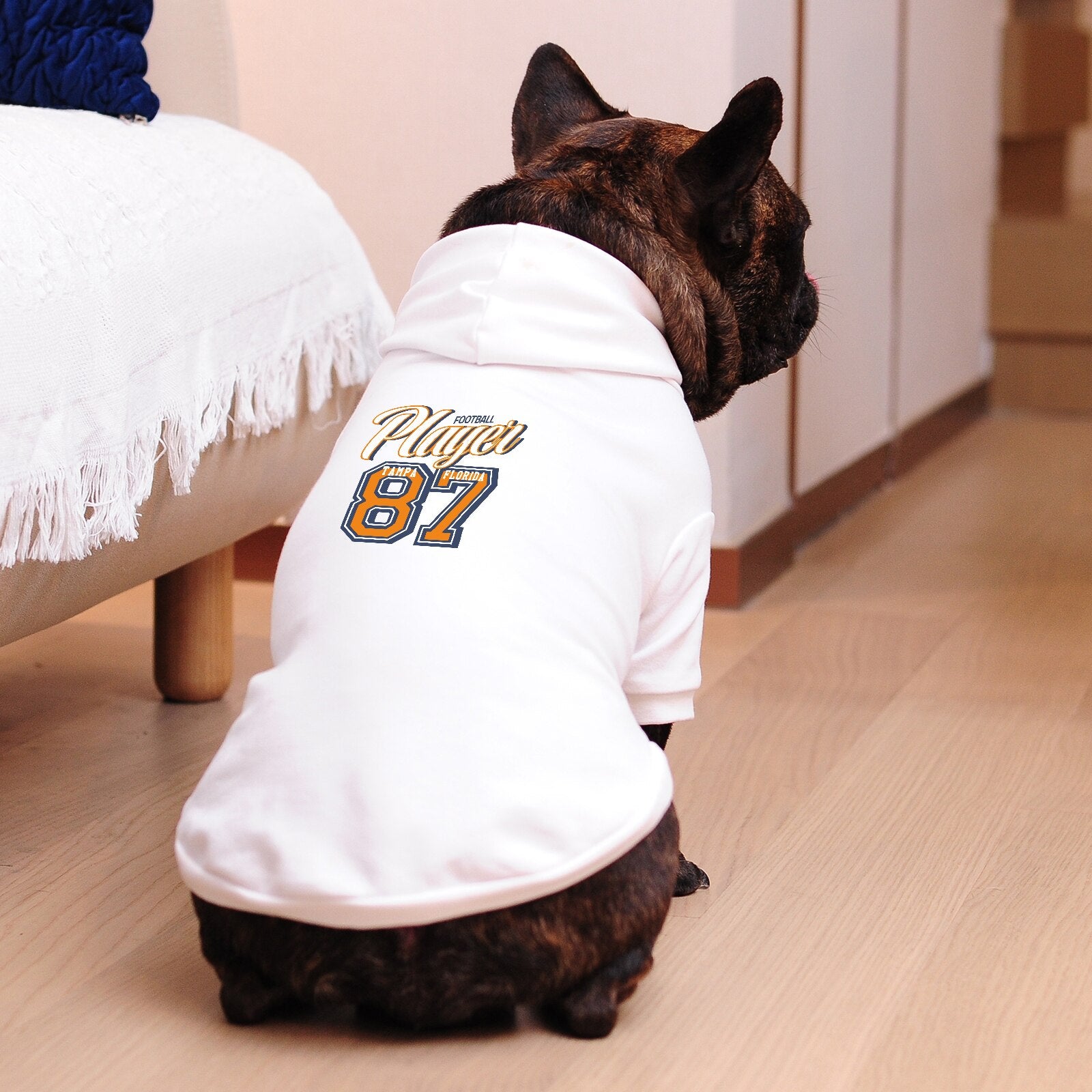2022 New Pet Clothes Hoodies for Small Dogs Leash Hole Design Breathable Sofe Cotton Fabric Boys Girls