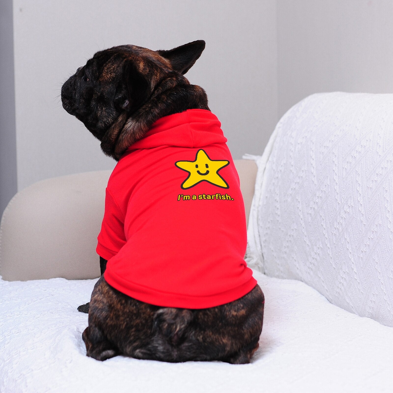 Pet Hoodie Star Pattern for Dogs Cats, Leash Hole and Higher Cut in Abdomen, Suitable for Both Boys and Girls