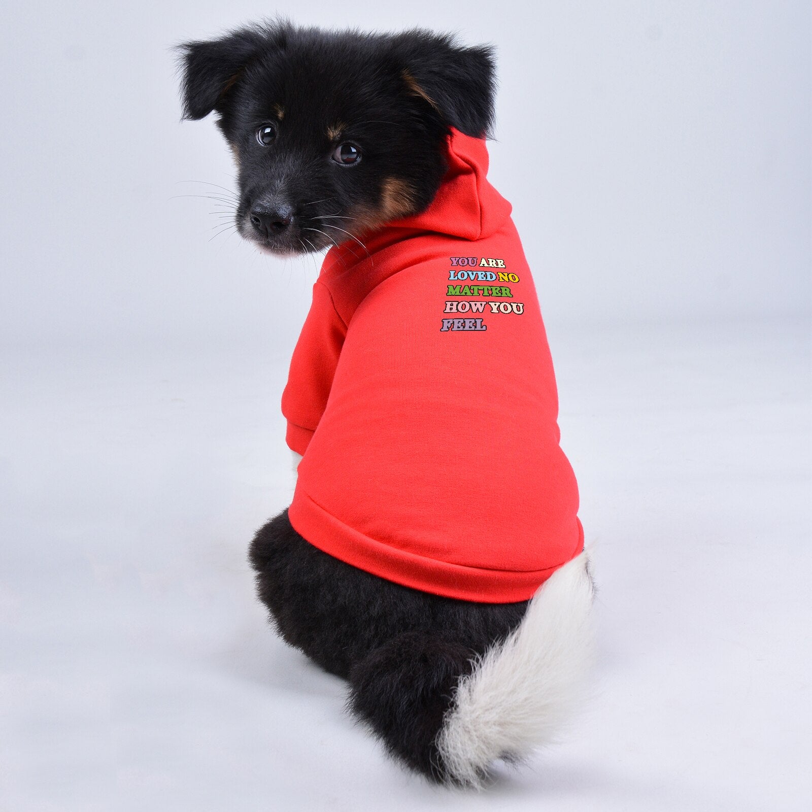 2022 New Dog Hoodie Pet Clothes Cotton Skin-Friendly Letter Printed Pet Clothes Boys and Girls