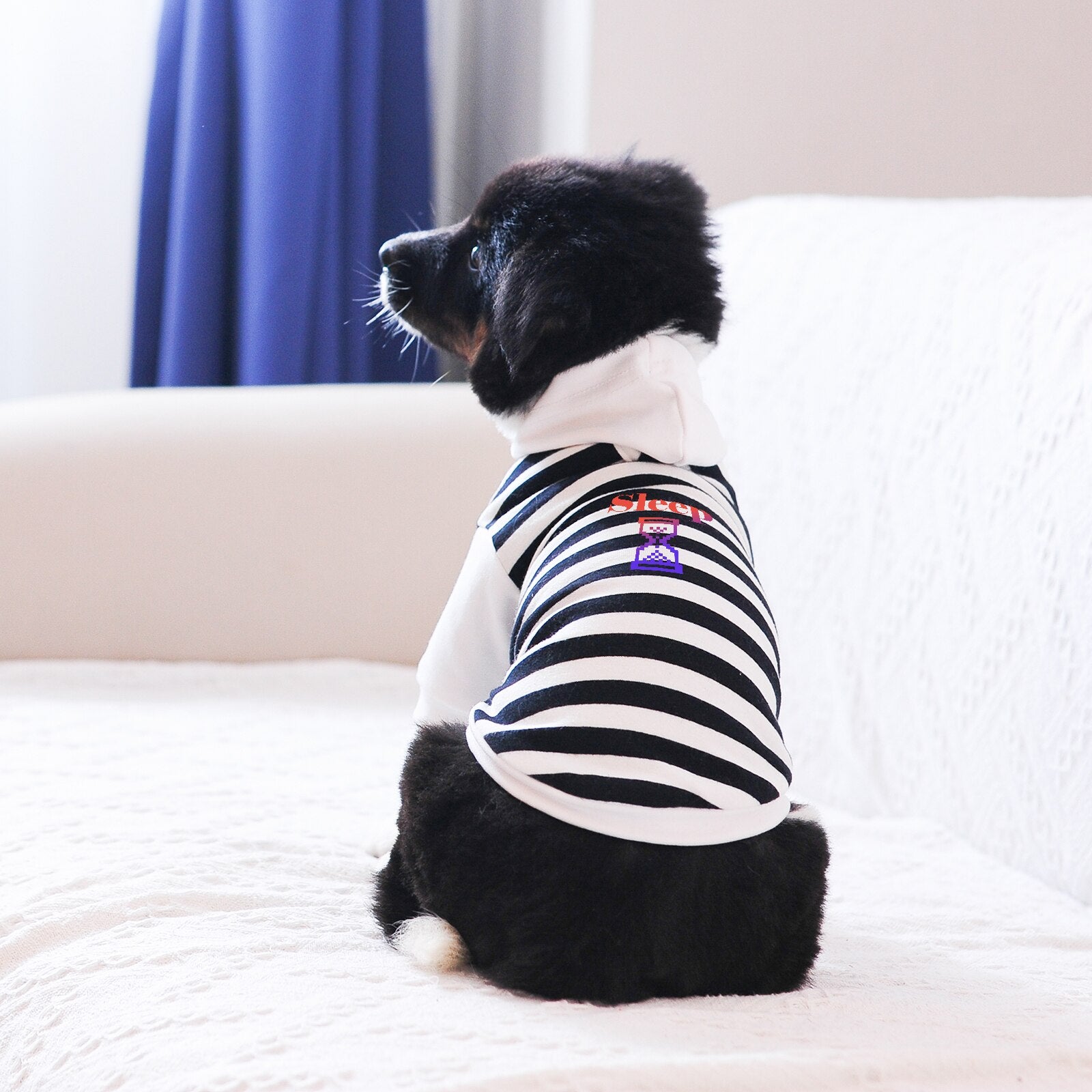 Pet Clothes Hoodie for Small Medium Big Dogs and Cats Girls and Boys Stripe White Red Classic Fashion 2022 New Autumn Winter