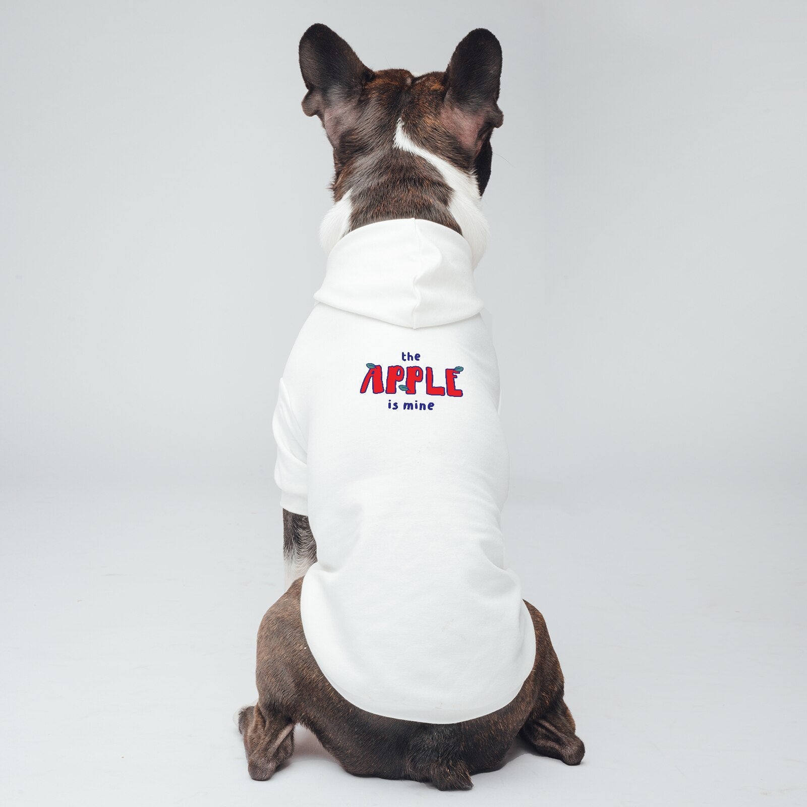 Funny Cute Classics Letter Words ‘The Apple is Mine’  Printed Pet Hoodies, for Small Medium Large Big Dogs Cats