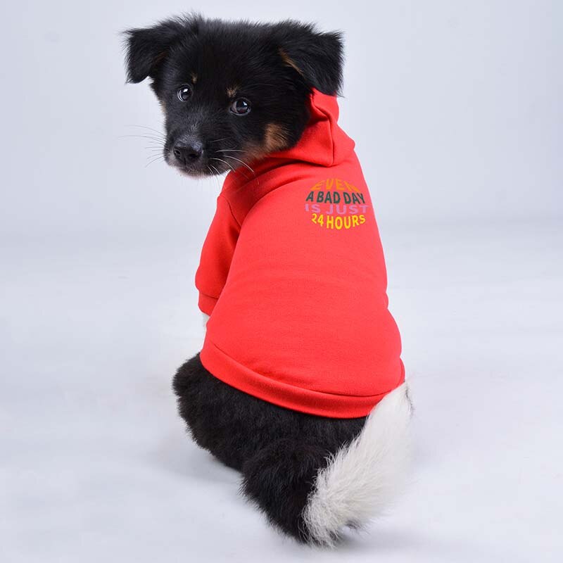 Printed Letter Dog Hoodie, 2022 New Autumn and Winter Pet Clothes for Chihuahua Yorkshire for Small and Medium Dogs