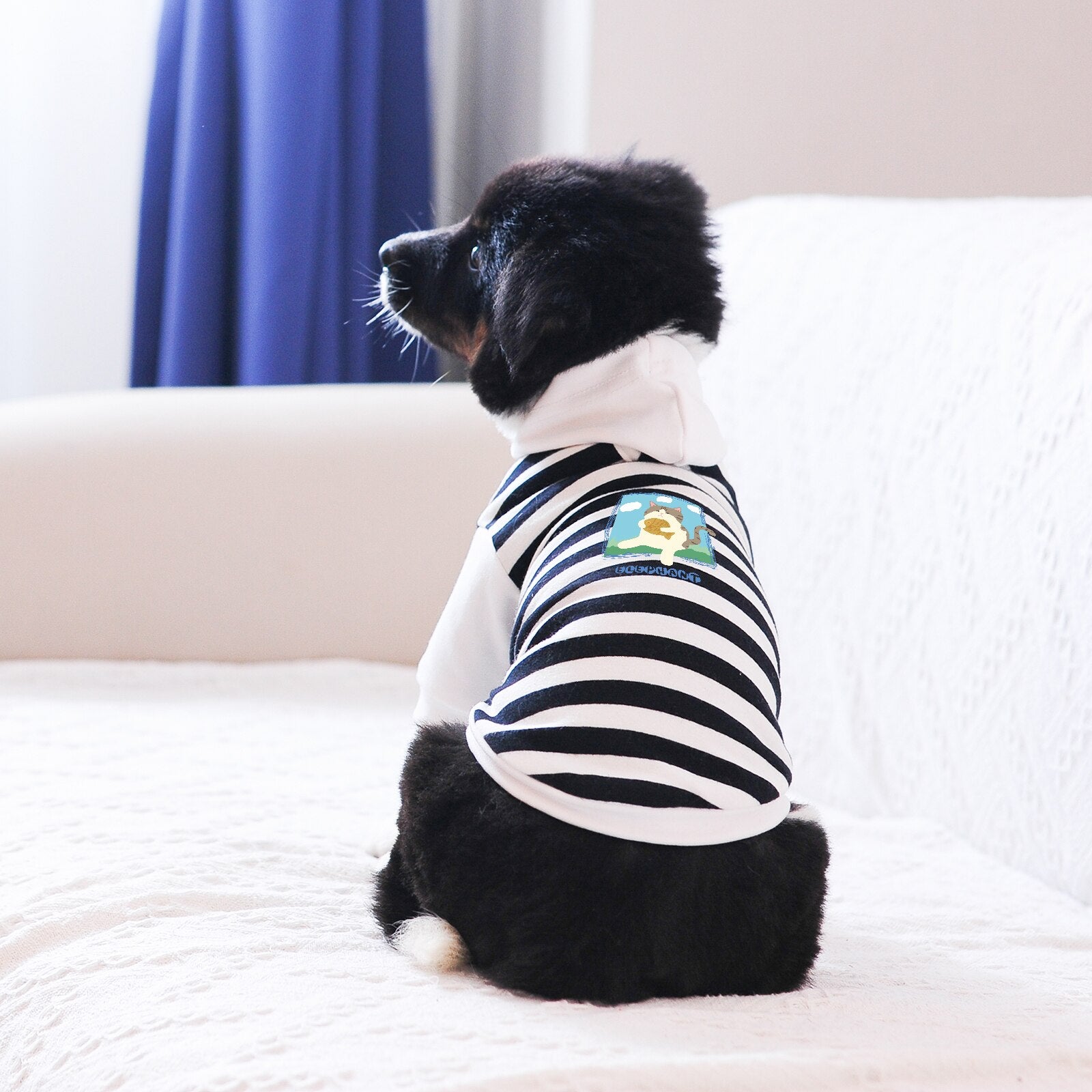 Cute Stylish Pet Clothes Hoodies Printed Pattern, Cats and Dogs All Sizes and All Ages Applicable, 2022 New High Quality Apparel
