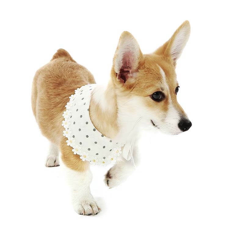 Polka Dot Dogs & Cats Scarf