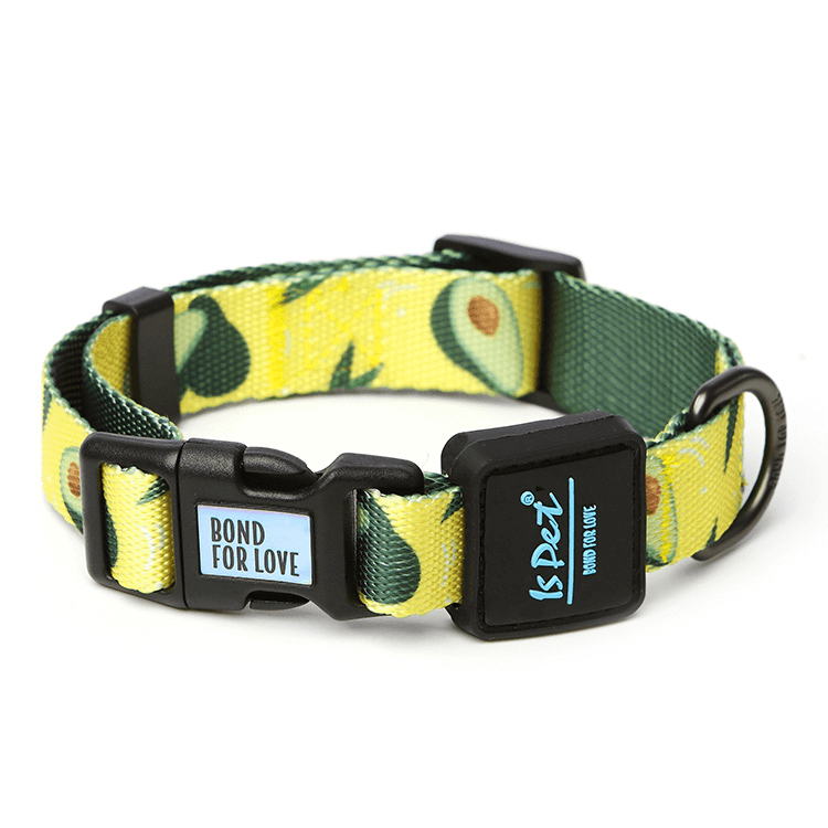 Patterned Polyester Dog Collar