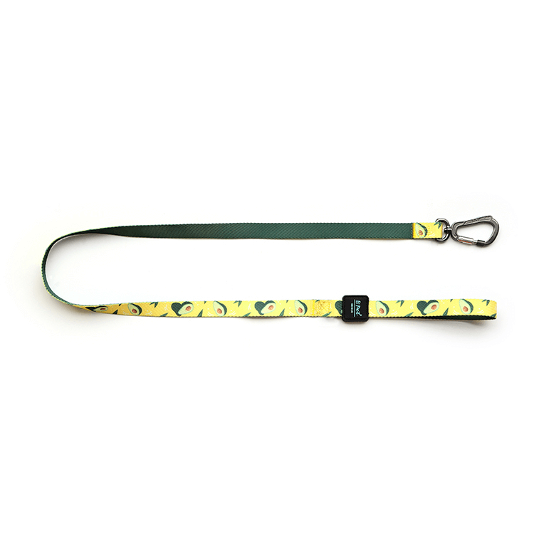 Patterned Polyester Dog Leash