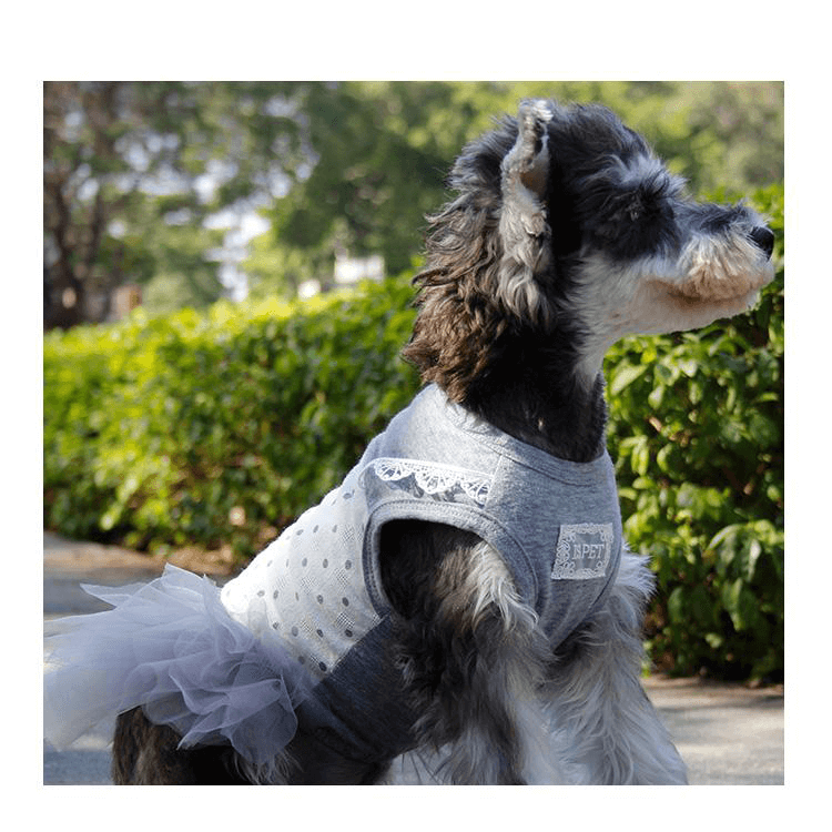 Polka Dots Laced Dog Wedding Dress