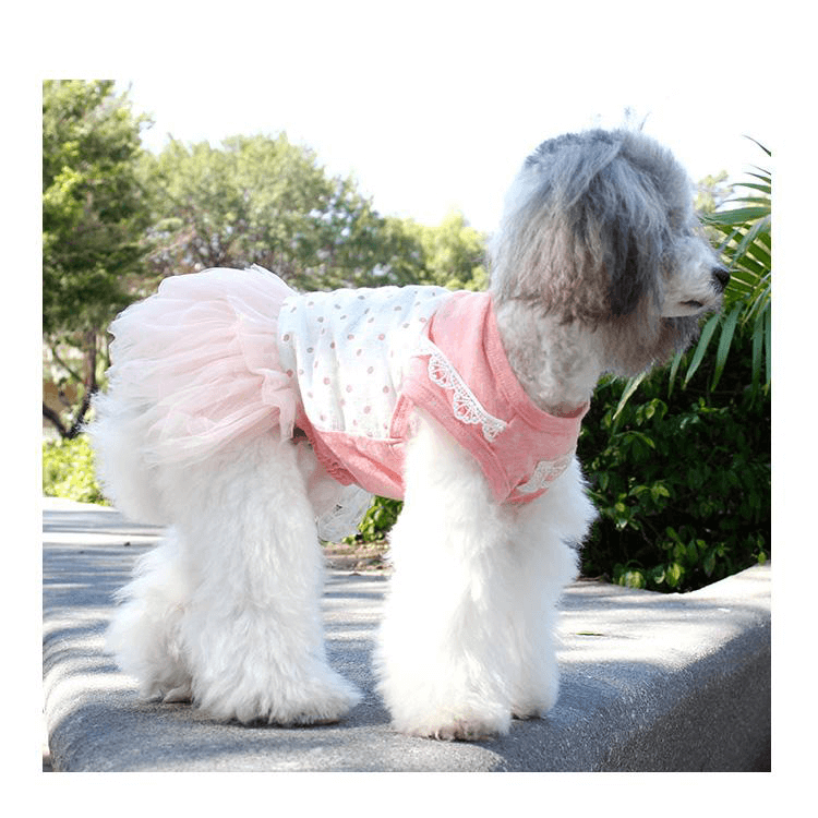 Polka Dots Laced Dog Wedding Dress