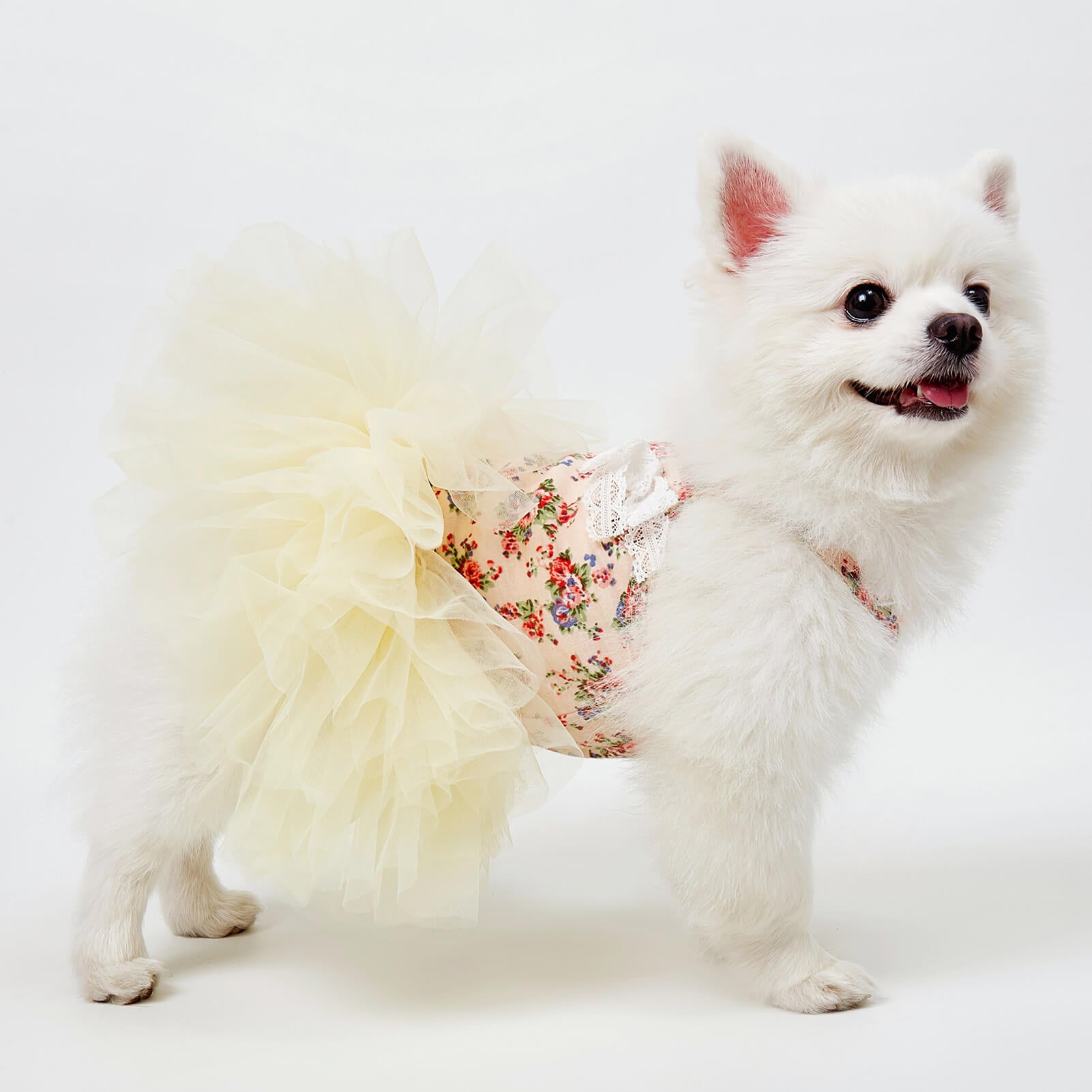Flower Veil Dog Dress