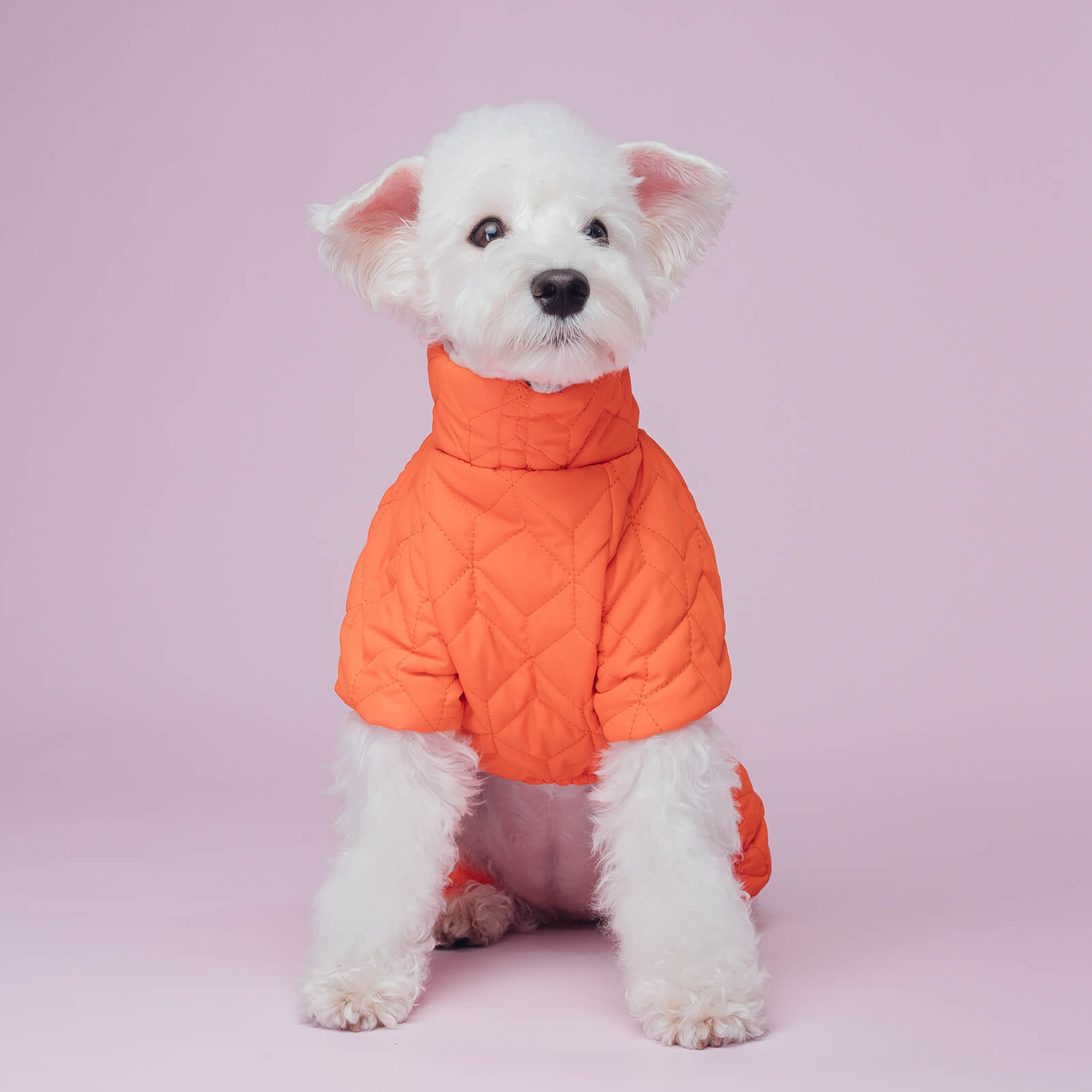 Double-layer Winter Dog Coat