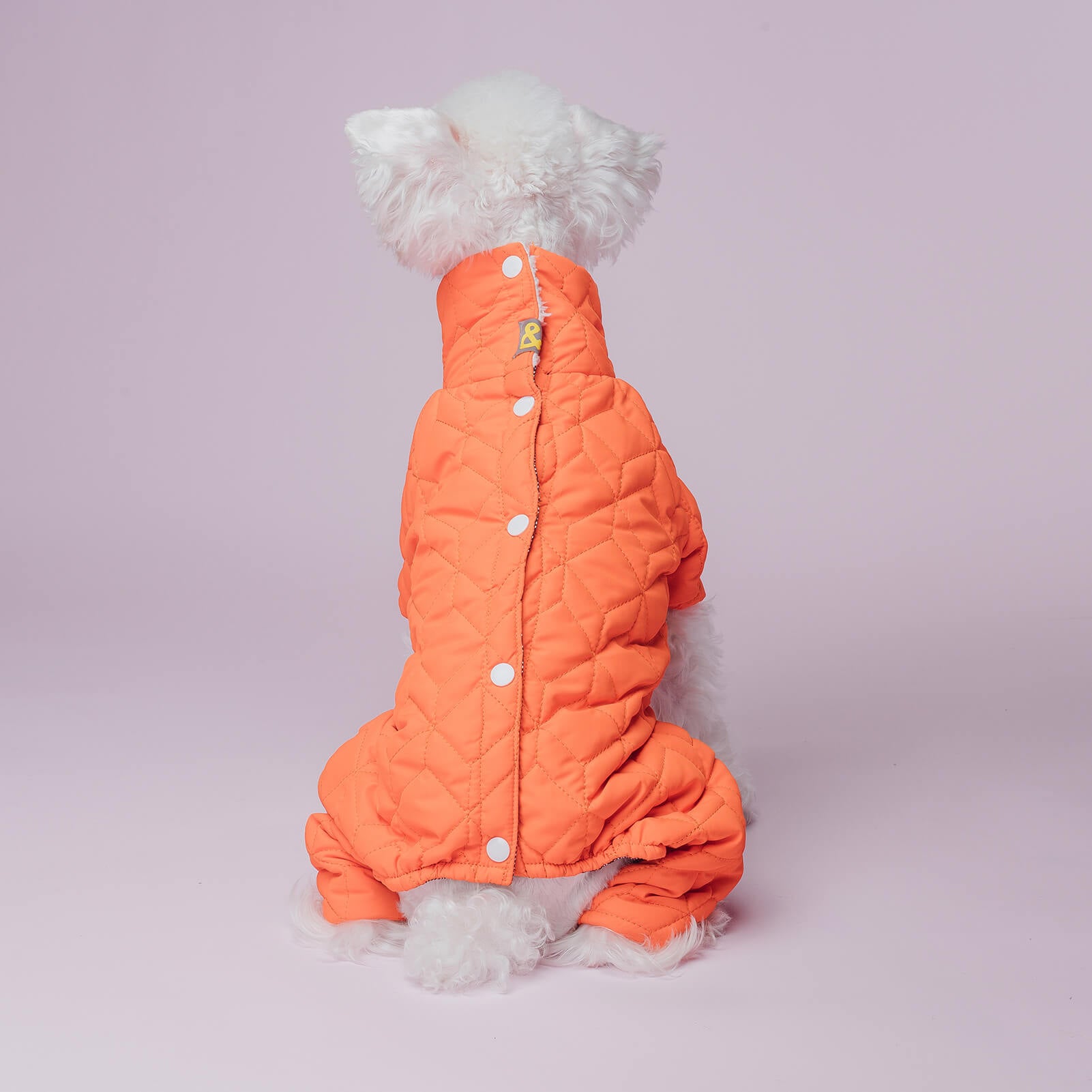 Double-layer Winter Dog Coat