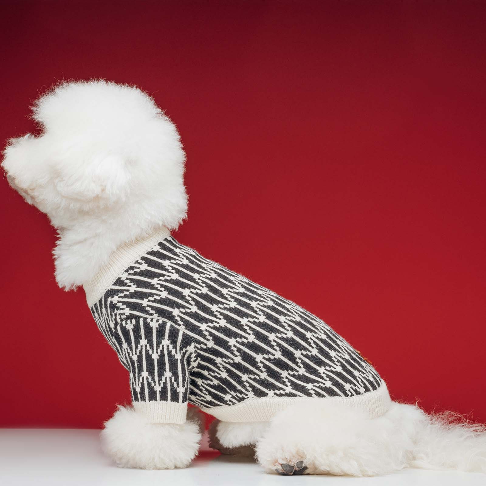 Chris Houston Designer Dog Sweater