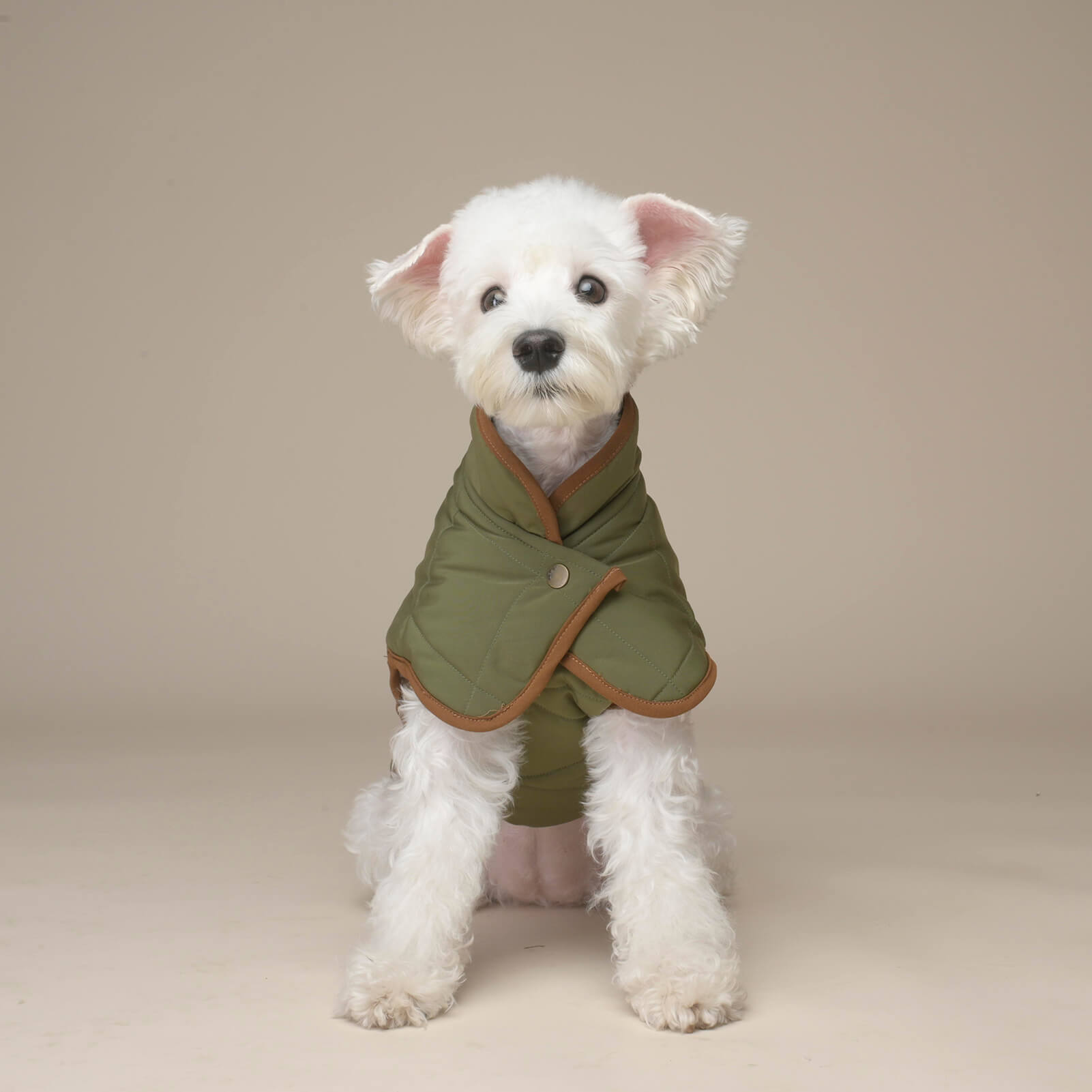 Insulated Quilted Dog Coat