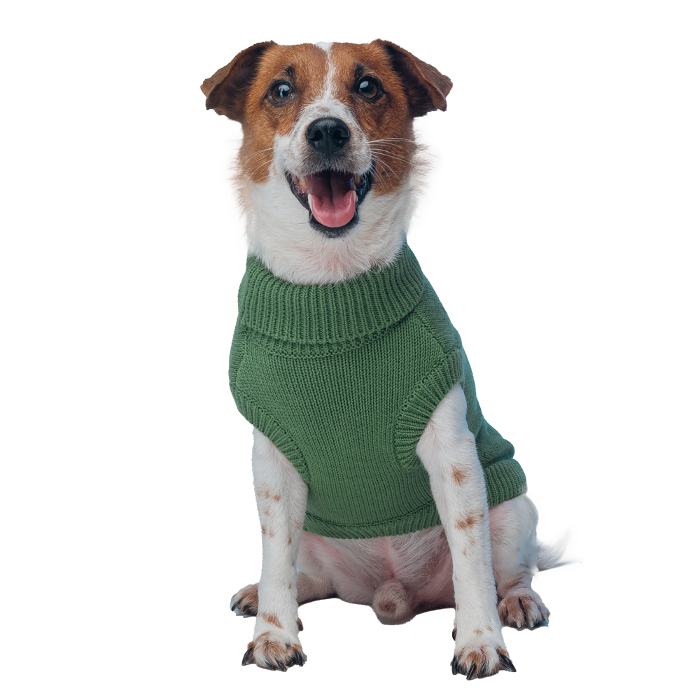 Fam Dog Sweater