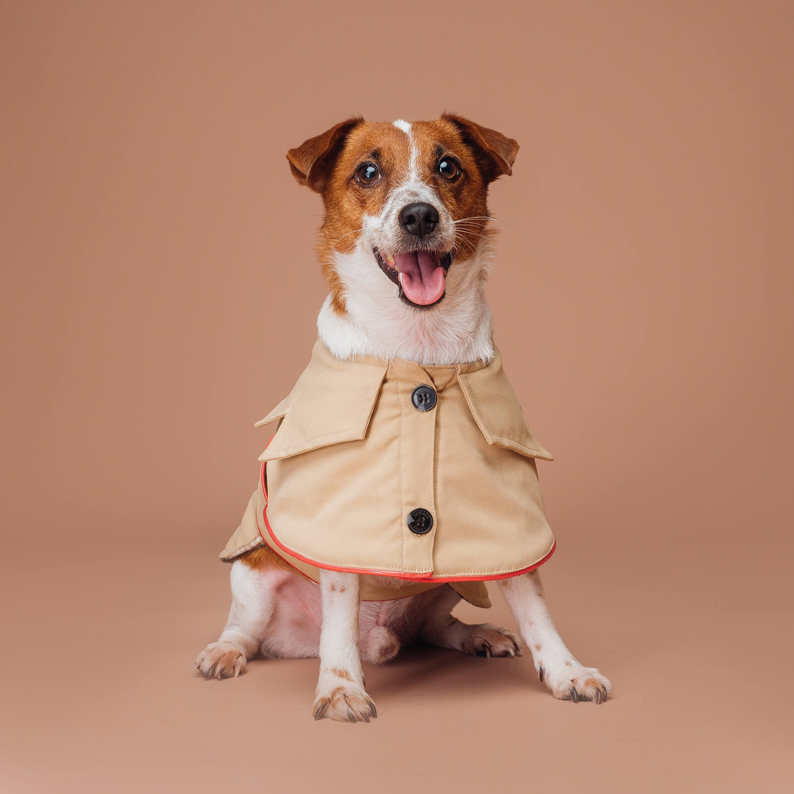 Stylish Inverness Dog & Cat Coat