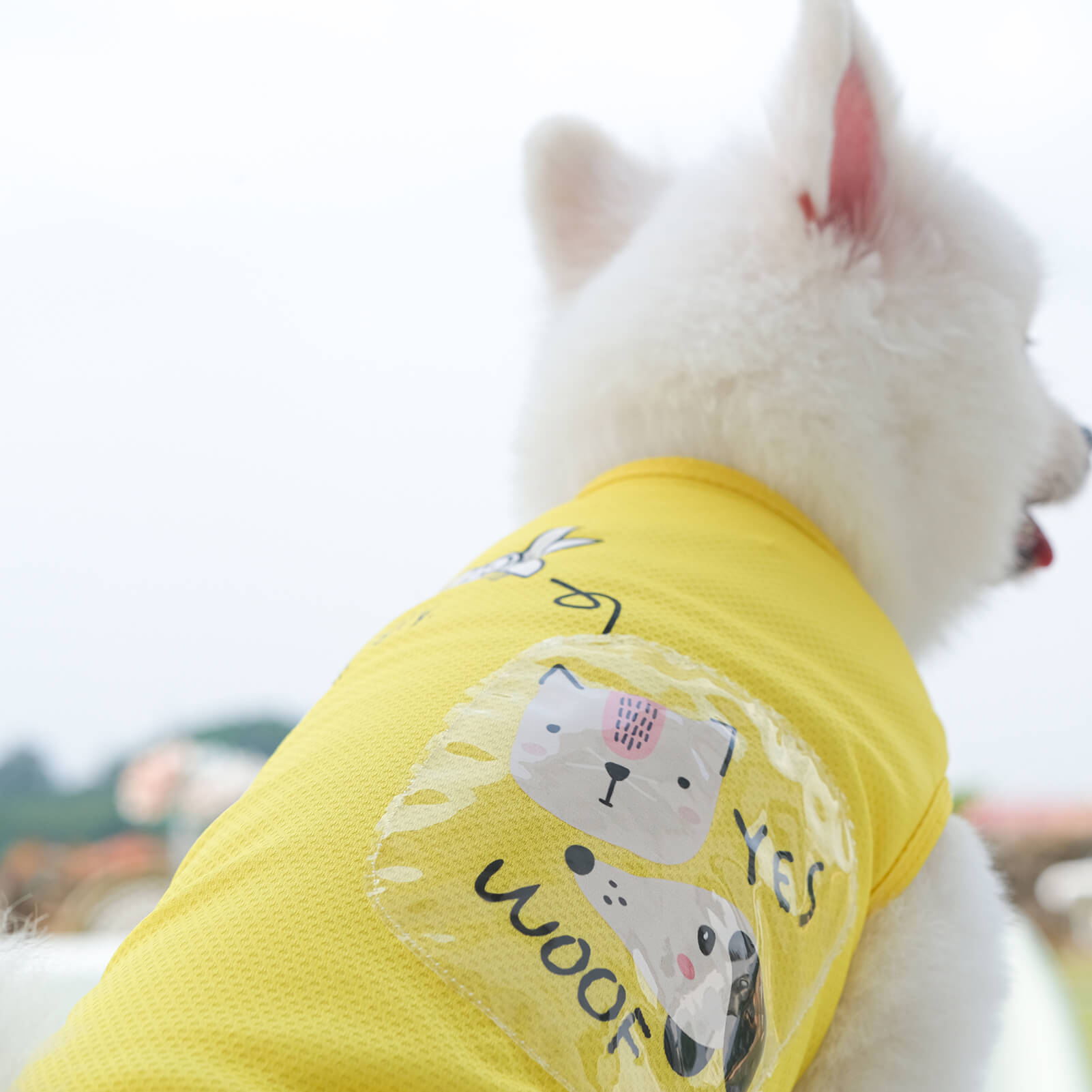 Print Anti-mosquito Dog & Cat T-Shirt