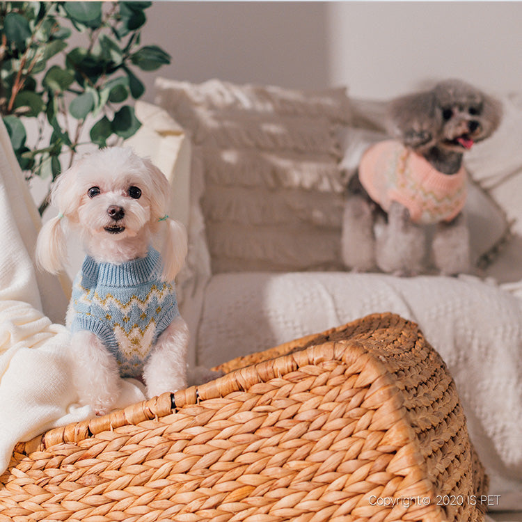イエロースターパターンの犬と猫のセーター