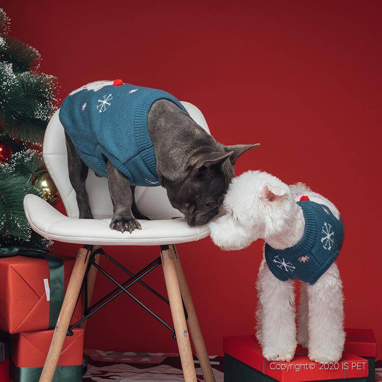 Dog & Cat Sweater