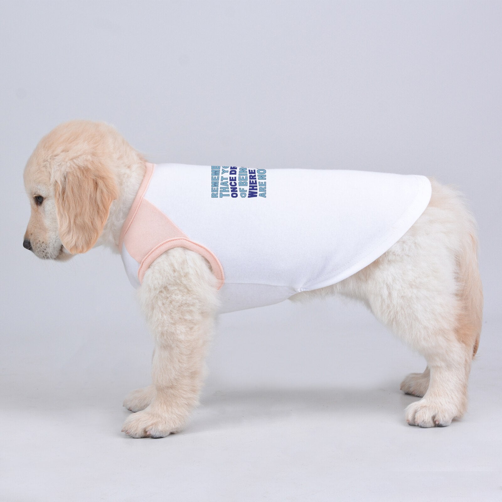 2022 Summer New Cute Pet Tshirt Tee for Small Medium Large Big Dogs Boys and Girls