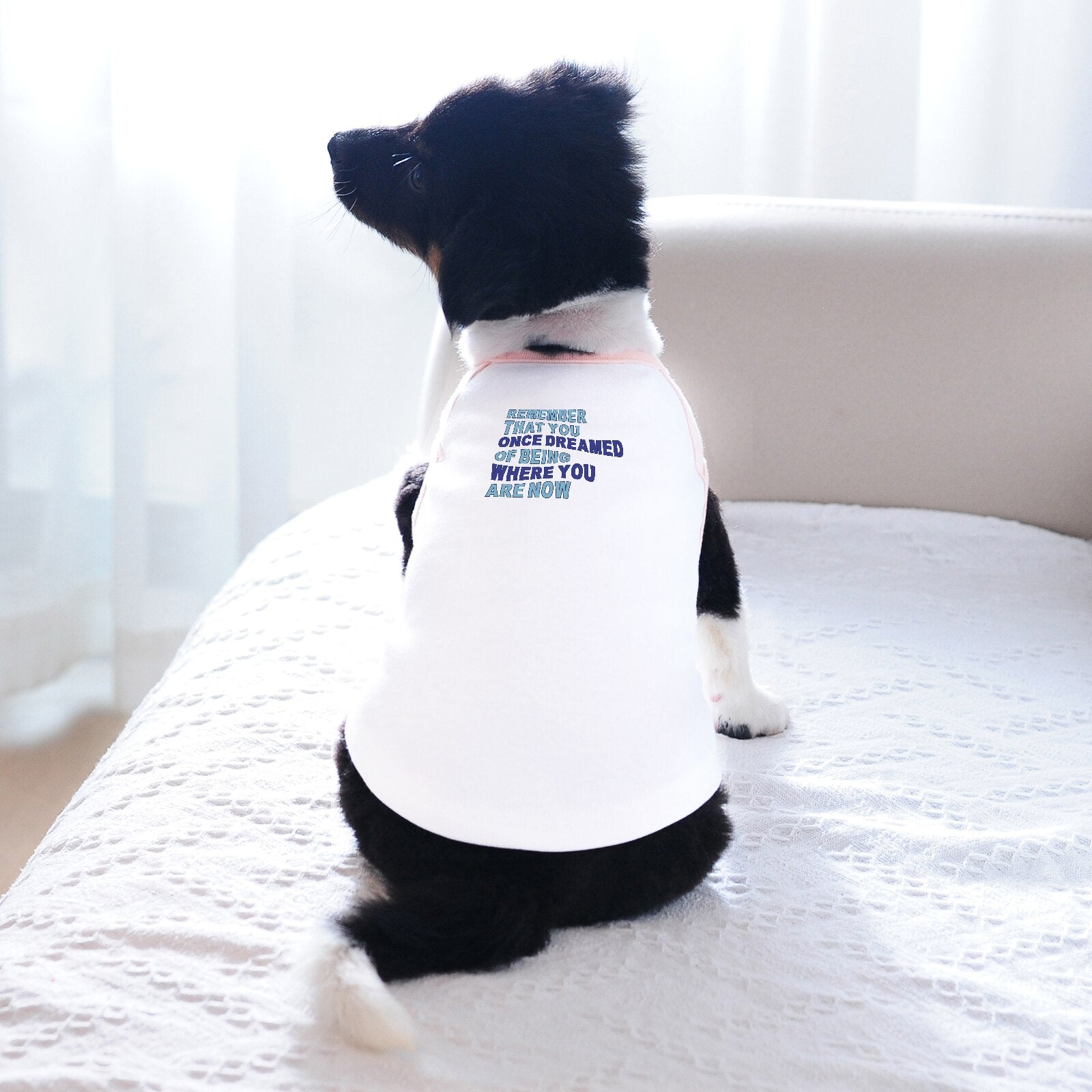 2022 Summer New Cute Pet Tshirt Tee for Small Medium Large Big Dogs Boys and Girls