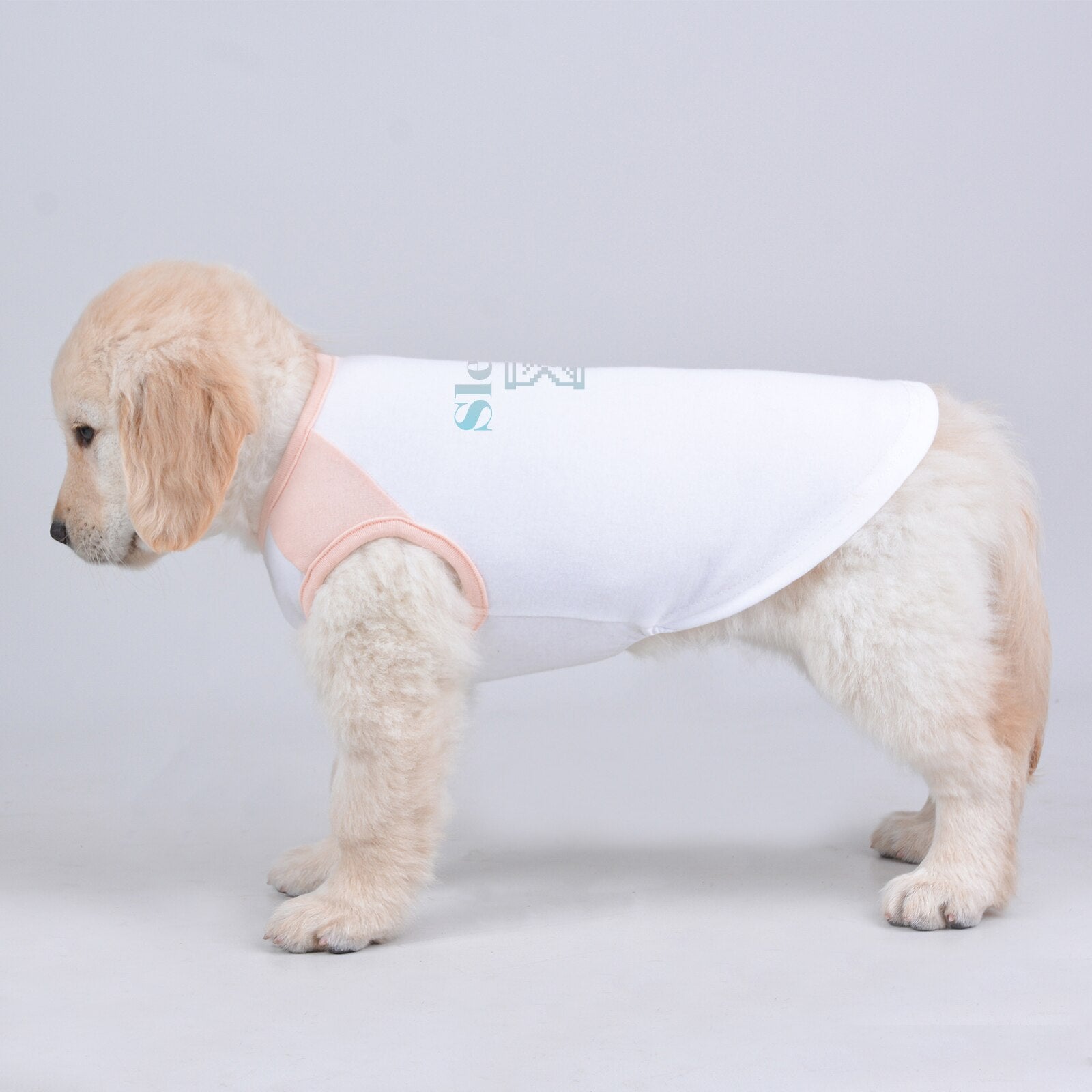 Sleveless Tshirt for Small Medium Large Dogs and Cats, Summer Special Breathale Fabric, Cute and Classic Simple Tee