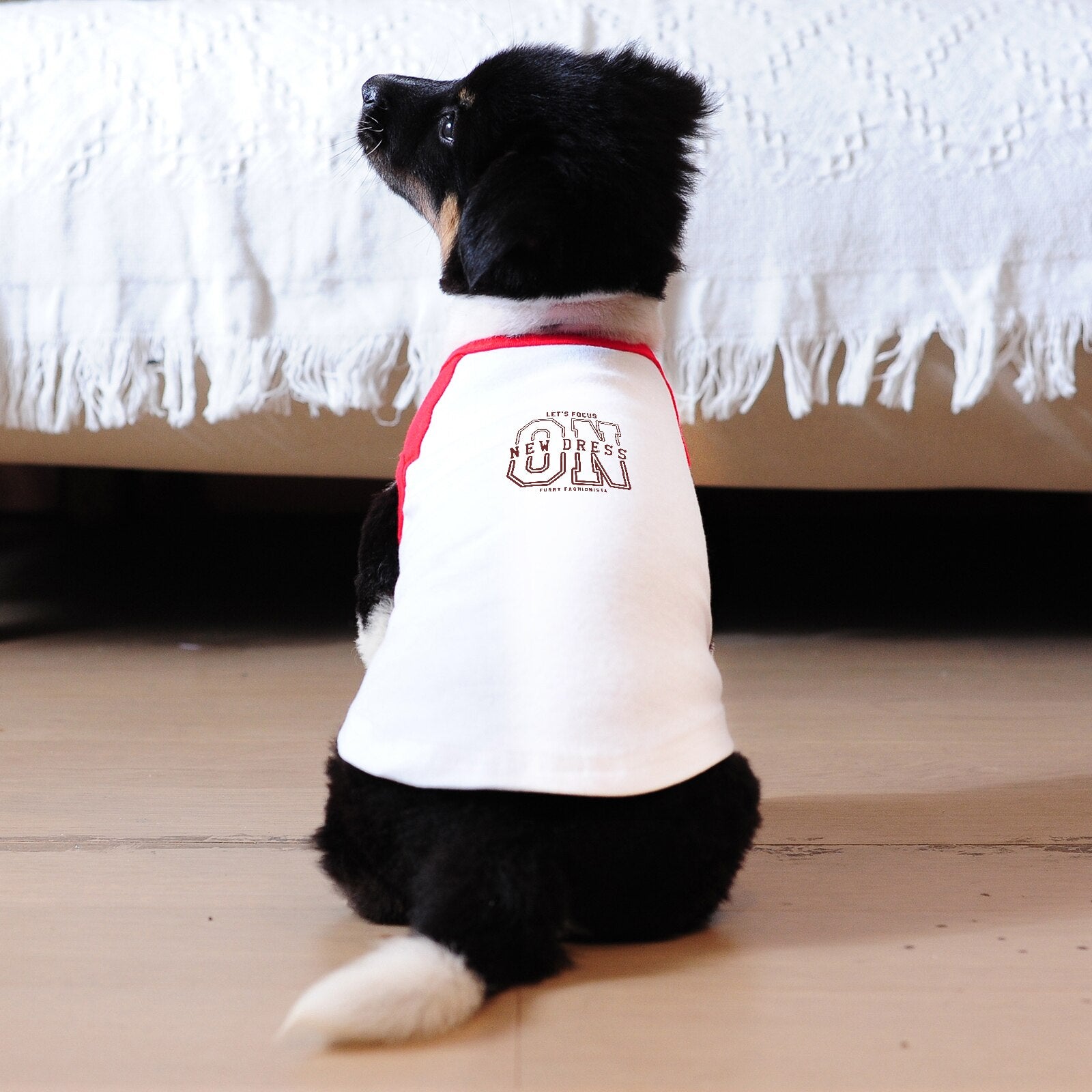 Printed Apparel Pink Red Purple and White Cute Pet Tshirt Tee for Small Medium Large Big Dogs Boys and Girls dog shirt