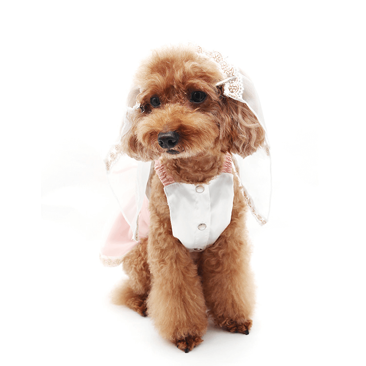 Pet Clothes Dog Wedding Dress
